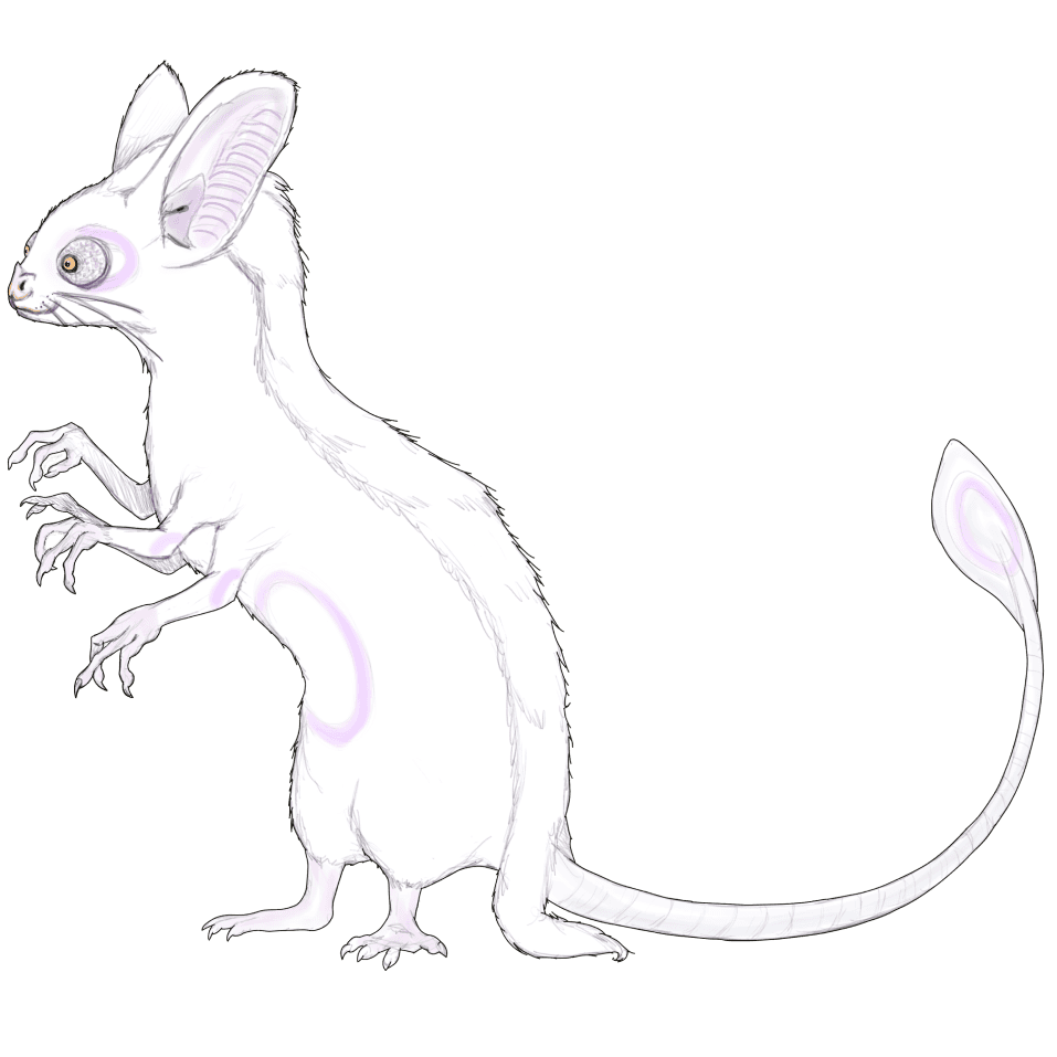 Gadlmara
